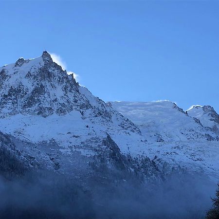 Les Alpins - Centre De Chamonix - Renove Avec Jardin Et Vue Imprenable Sur Le Montblanc Apartment Exterior photo